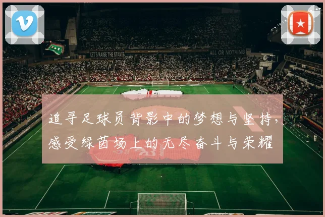 追寻足球员背影中的梦想与坚持，感受绿茵场上的无尽奋斗与荣耀