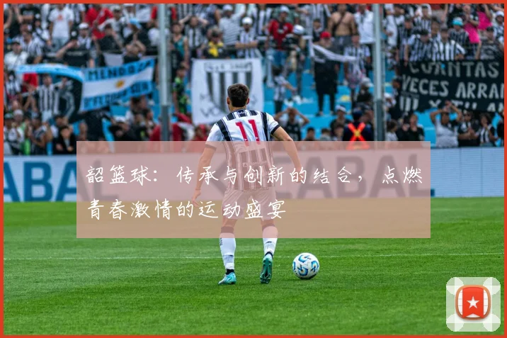 韶篮球：传承与创新的结合，点燃青春激情的运动盛宴