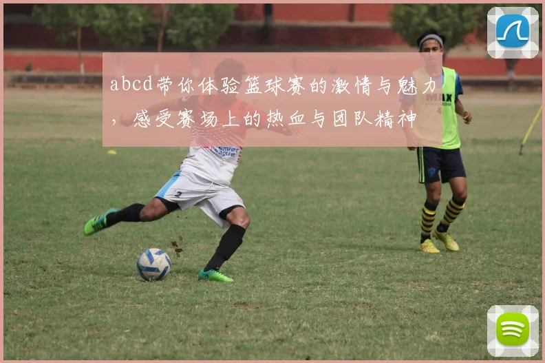 abcd带你体验篮球赛的激情与魅力，感受赛场上的热血与团队精神