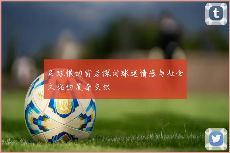 足球恨的背后探讨球迷情感与社会文化的复杂交织