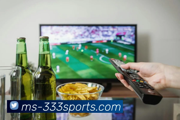 多媒体互动体验